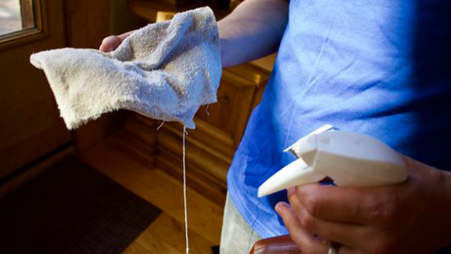 Mold Remediation Services